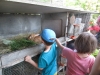 lapin-5