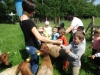moutons-1