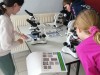 IMG_20250526_160532