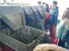IMG-20250529-WA0005