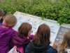 IMG-20250529-WA0016