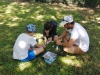 IMG_20240624_112947
